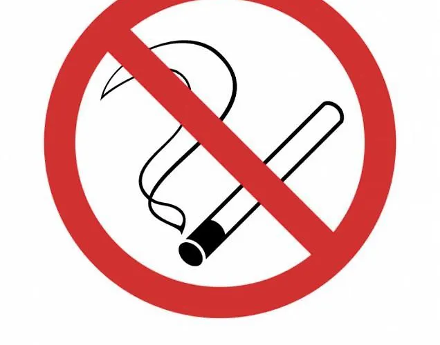 White Apartament Kopaonik